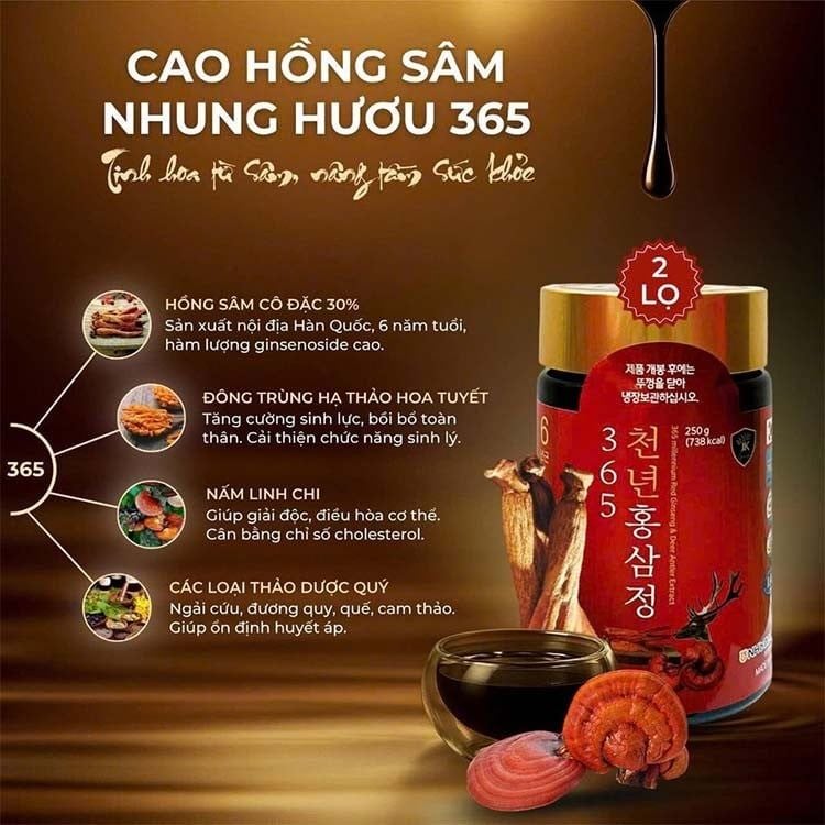 Sử dụng Cao Hồng Sâm Nhung Hươu Linh Chi thường xuyên giúp cải thiện sức khỏe