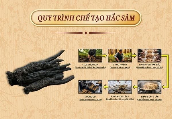 Hình ảnh bài viết