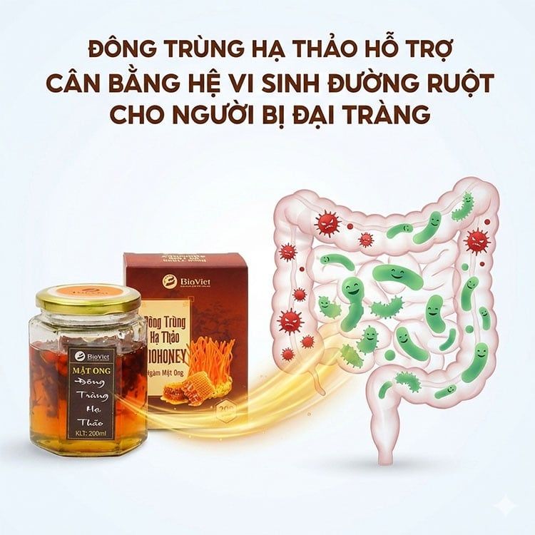 Người bị đại tràng thường mất cân bằng hệ vi sinh đường ruột