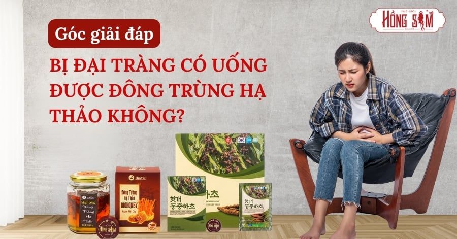 Bị đại tràng có uống được Đông Trùng Hạ Thảo không