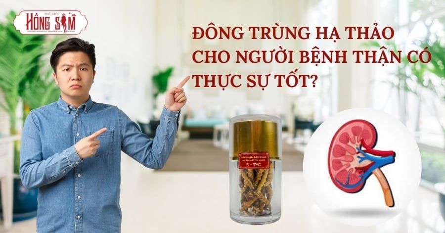 Đông Trùng Hạ Thảo cho người bệnh thận có thật sự tốt.