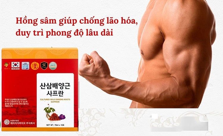 Hồng Sâm giúp nam giới làm chậm quá trình lão hóa, tăng cường sức khỏe và giữ vững phong độ lâu dài