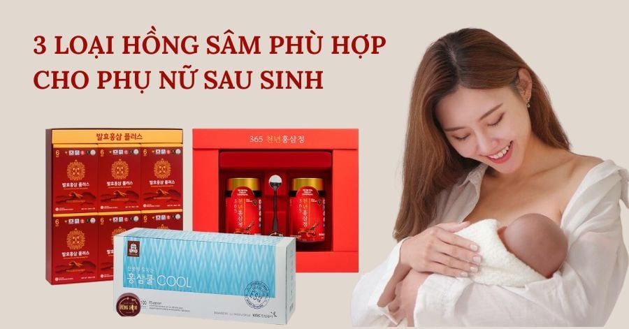 3 loại Hồng Sâm tốt nhất cho phụ nữ sau sinh