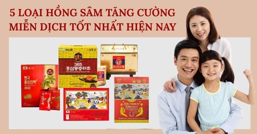 5 loại Hồng Sâm tăng cường hệ miễn dịch đáng mua nhất