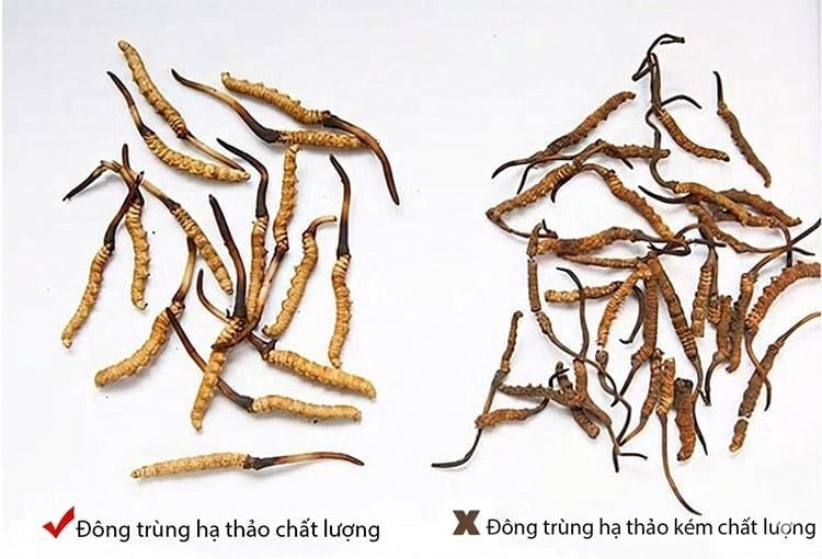 Nguy cơ mua phải hàng chất lượng kém