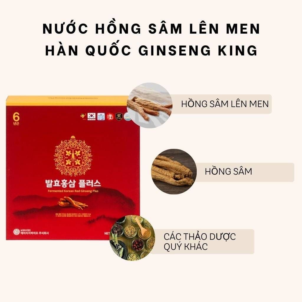 Thành phần nước Hồng Sâm lên men Hàn Quốc Ginseng King