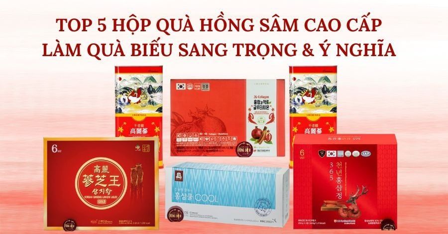 Vì sao Hồng Sâm luôn là món quà biếu cao cấp hàng đầu?