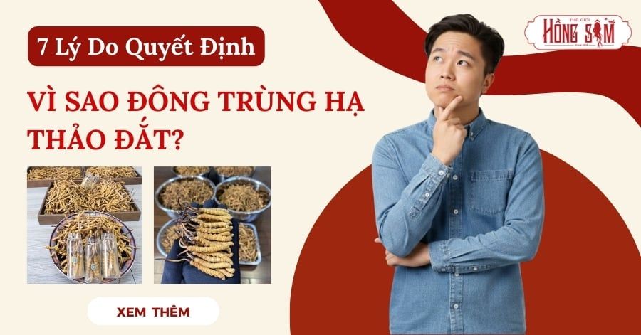 vì sao Đông Trùng Hạ Thảo đắt