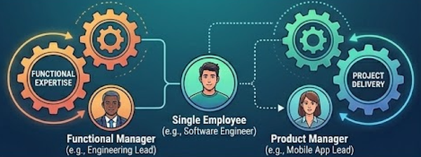 gile organizational structure design
