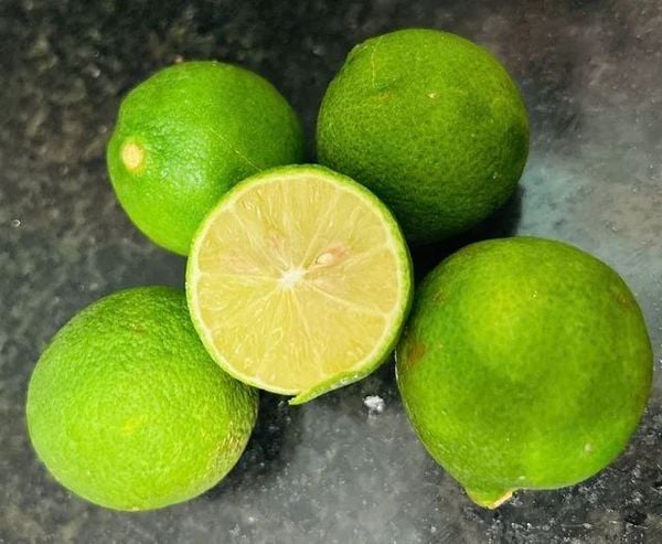 Câu hỏi thường gặp