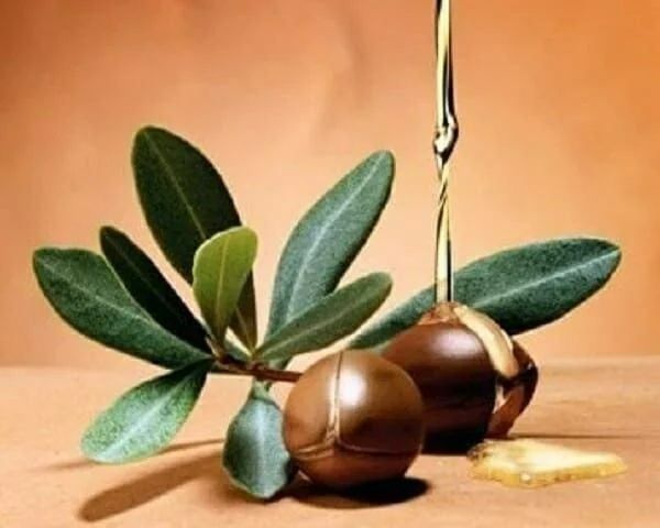 Những hiểu lầm thường gặp về dầu argan