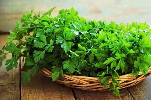 Câu hỏi thường gặp (FAQ)