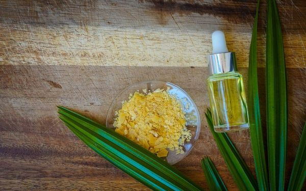 Vì sao carnauba wax được ưu ái làm thành phần tạo kết cấu mỹ phẩm