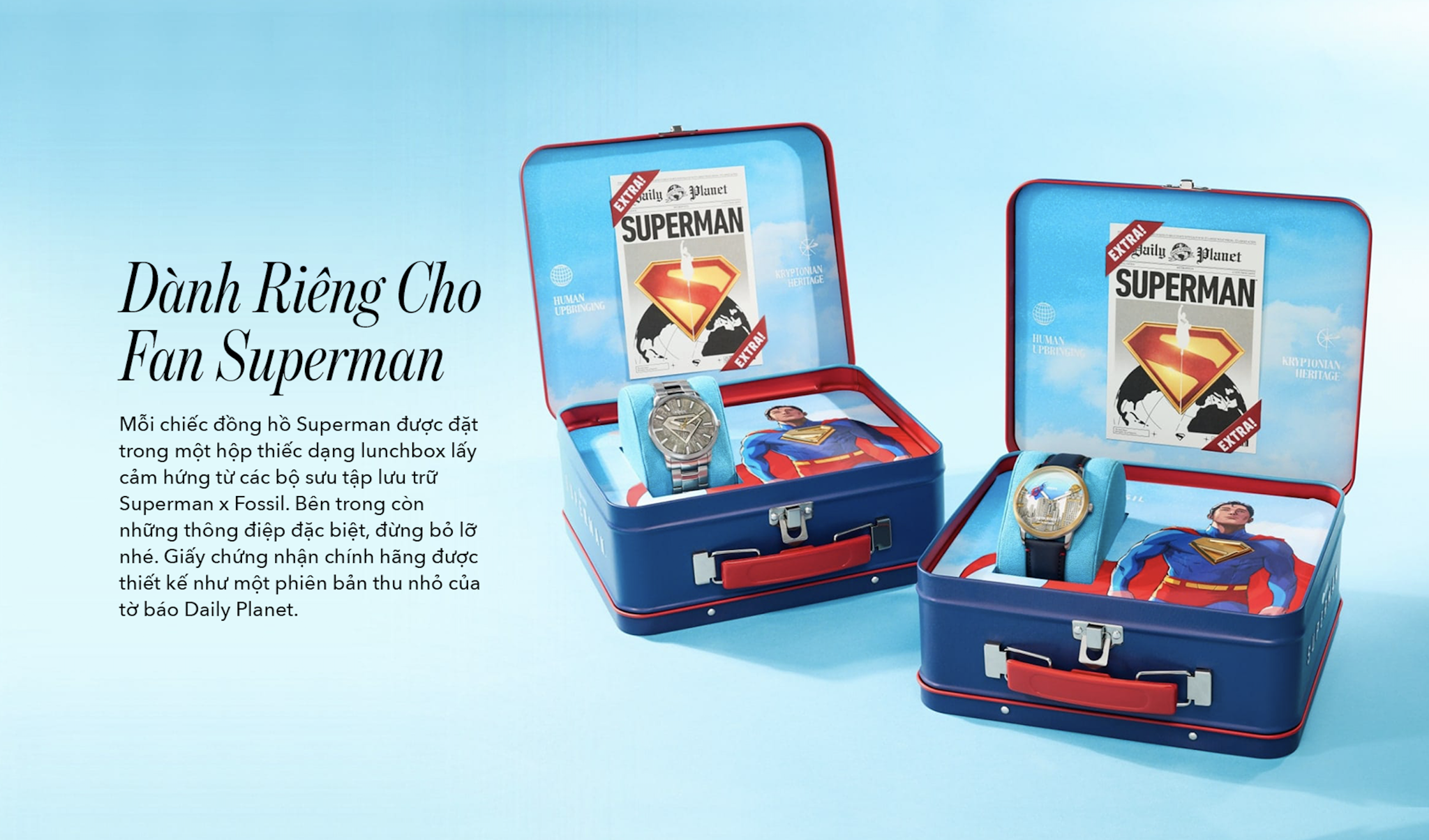 Hình ảnh bài viết