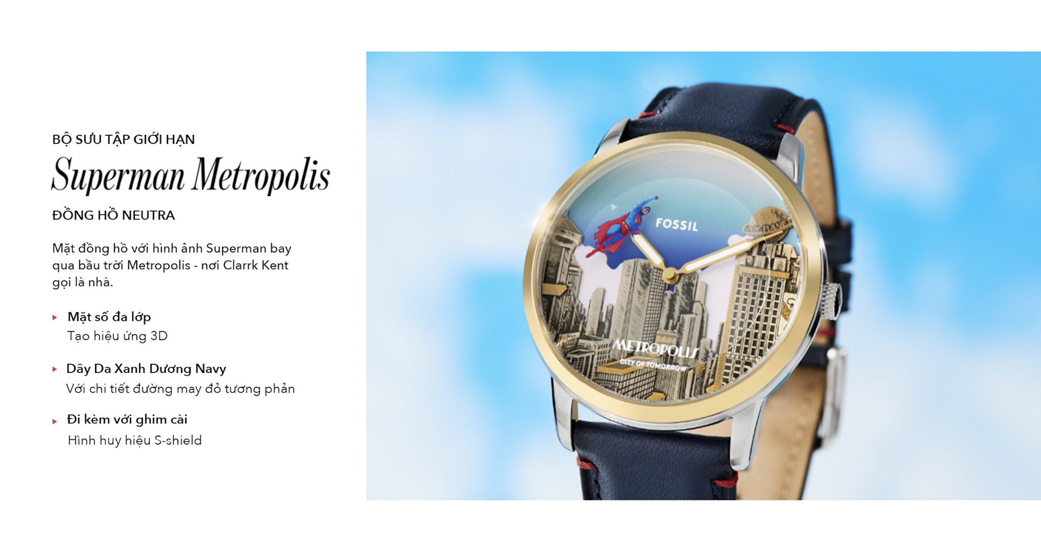 Hình ảnh bài viết