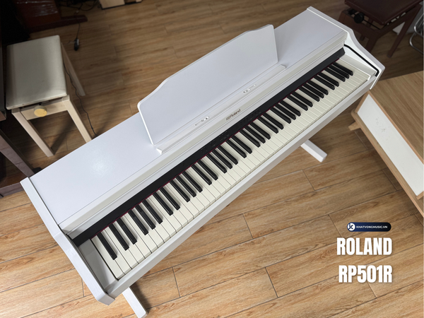 Roland RP501R