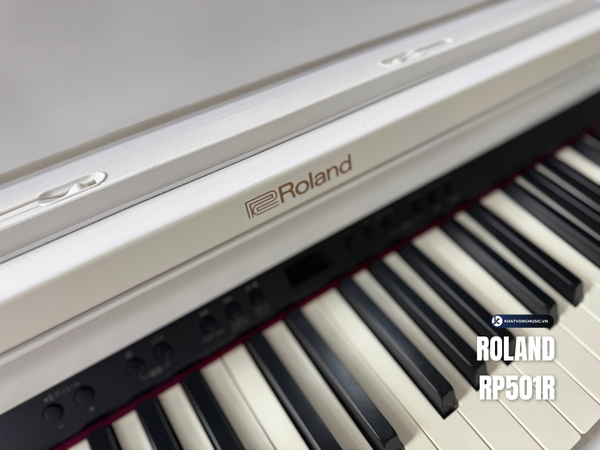 Roland RP501R