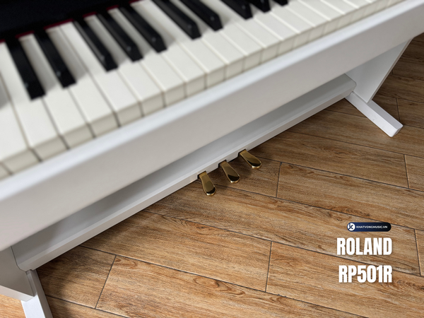 Roland RP501R