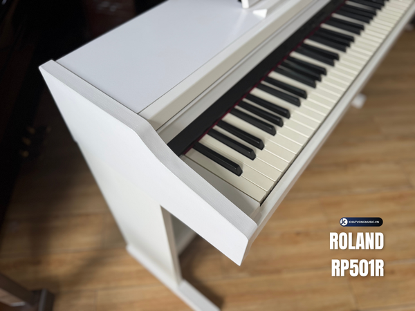 Roland RP501R