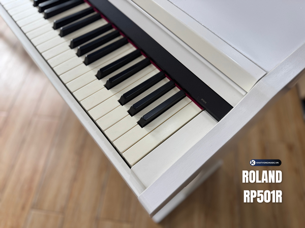 Roland RP501R