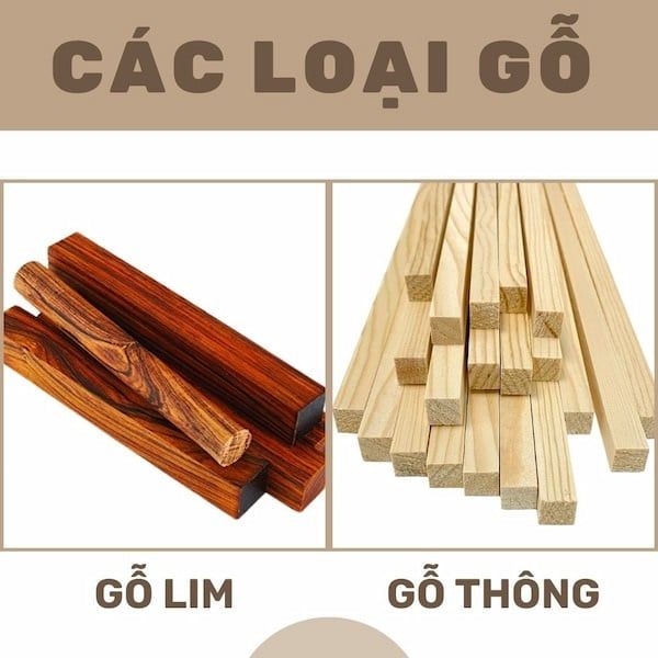 đồ gỗ nội thất