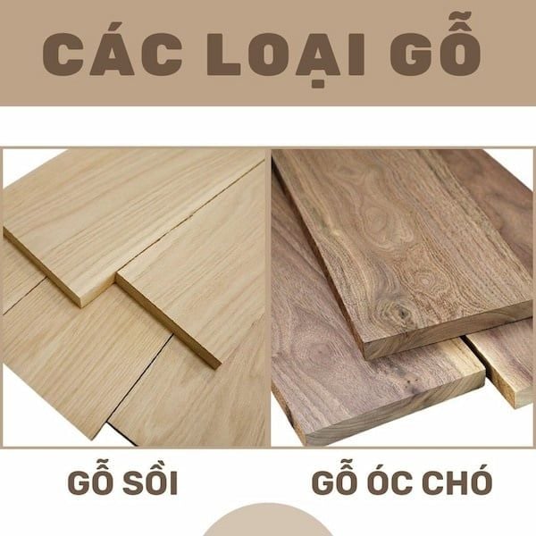 đồ gỗ nội thất