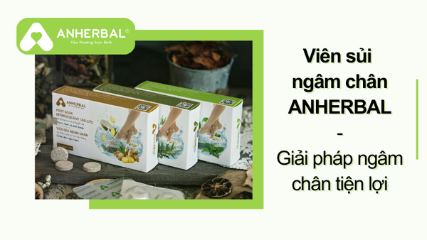 vien sui ngam chan anherbal
