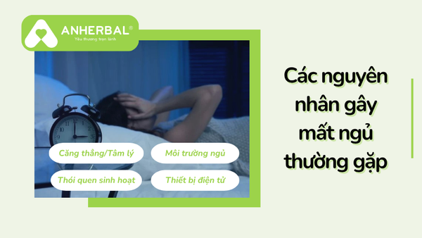 các nguyên nhân gây mất ngủ thường gặp