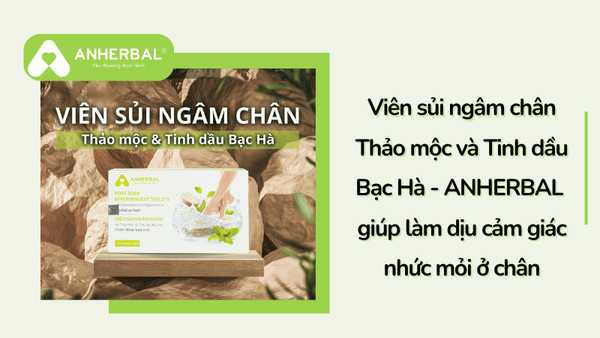 viên sủi ngâm chân thảo mộc và tinh dầu tràm trà