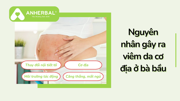 nguyên nhân gây ra viêm da cơ địa ở bà bầu