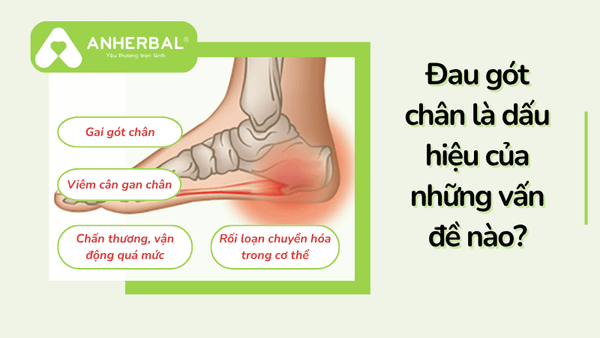 dau got chan al bieu hien cua nhung van de nao