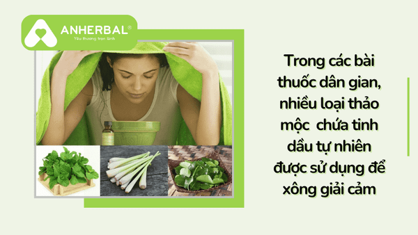 thao moc thien nhien chua tinh dau duoc su dung de xong giai cam