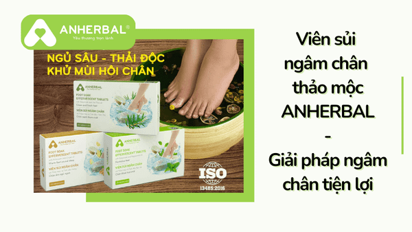 vien sui ngam chan anherbal