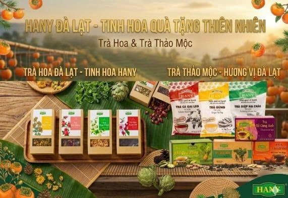 cong ty tnhh ha ny da lat