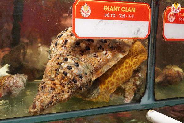 The seafood tank contains a variety of fresh and delicious seafood