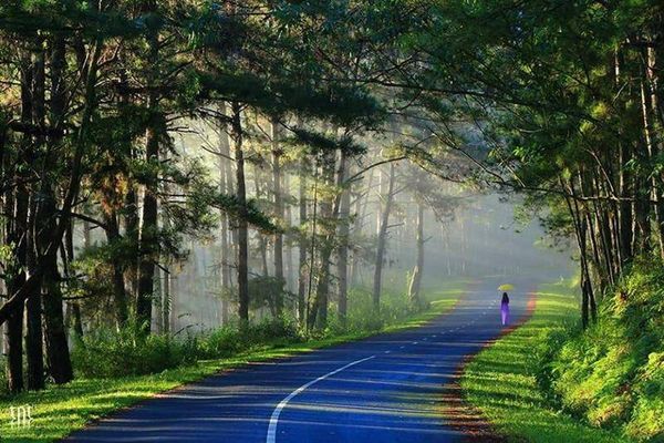 Thời tiết Đà Lạt ôn hòa quanh năm