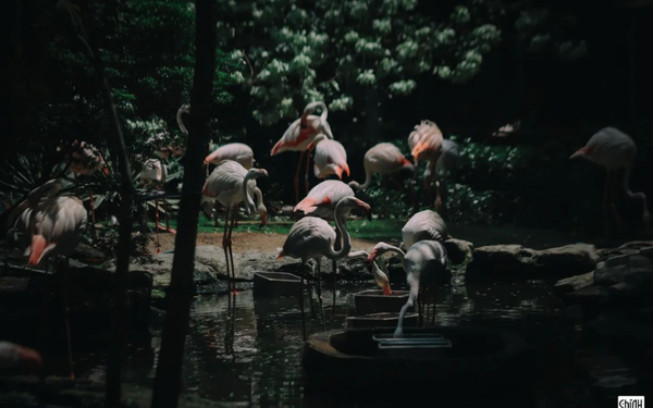 Thảo Cầm Viên Sài Gòn