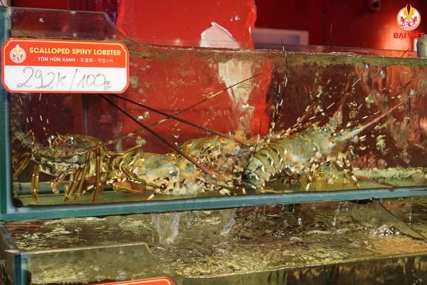 Customers want to see the fresh seafood firsthand and witness the processing procedures clearly.