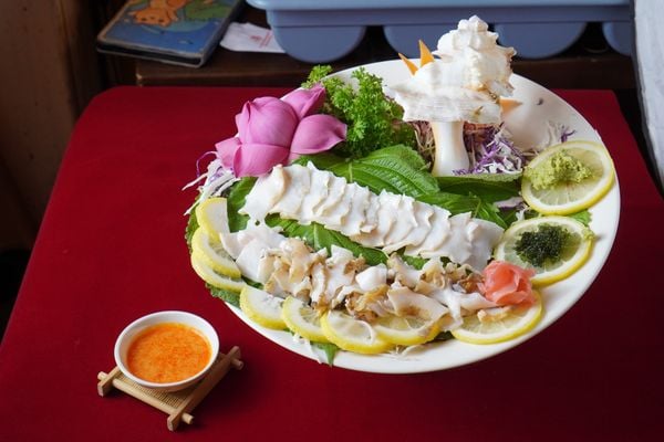 Giant Ramose Murex Snail Sashimi