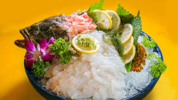 Grouper sashimi