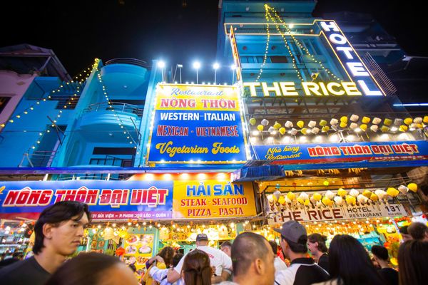 Nong Thon Dai Viet Restaurant, 131 Bui Vien