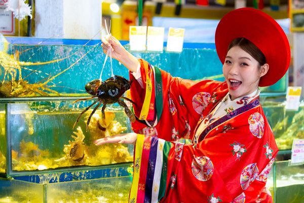 Live seafood in a glass tank