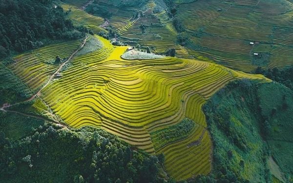 Khám phá Mù Cang Chải để thấy được thiên nhiên hùng vĩ tại Việt Nam (nguồn: sưu tầm)