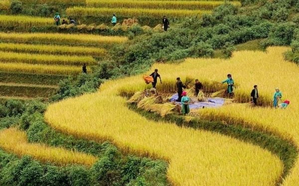 Bạn có thể khám phá văn hóa bản làng tại Mù Cang Chải để hiểu hơn về con người nơi đây (nguồn: sưu tầm)