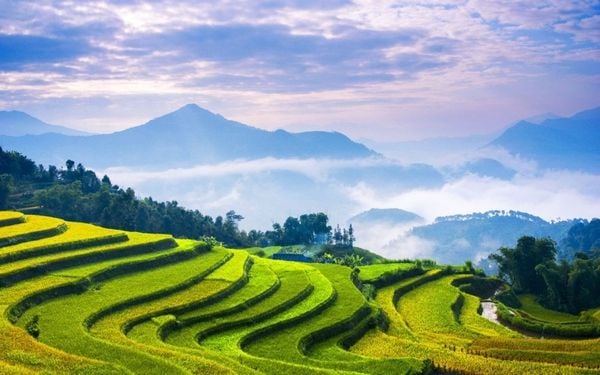 Khung cảnh thiên nhiên hùng vĩ tại Mù Cang Chải (nguồn: sưu tầm)