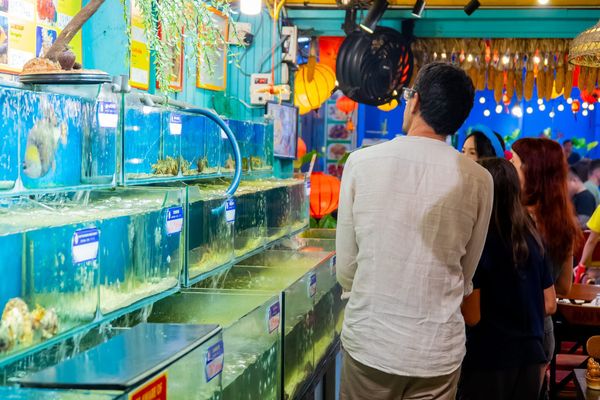 Hồ hải sản tươi sống trong khuôn viên nhà hàng