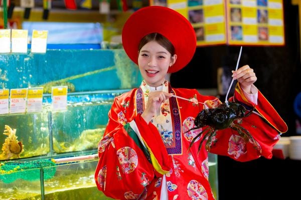 Nhà hàng Đại Việt đa dạng hải sản tươi sống trong khuôn viên nhà hàng