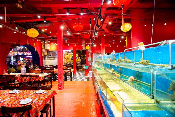 Hồ hải sản tươi sống trong khuôn viên nhà hàng Sen Đại Việt