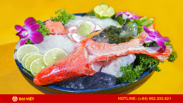 Sashimi cá mú đỏ