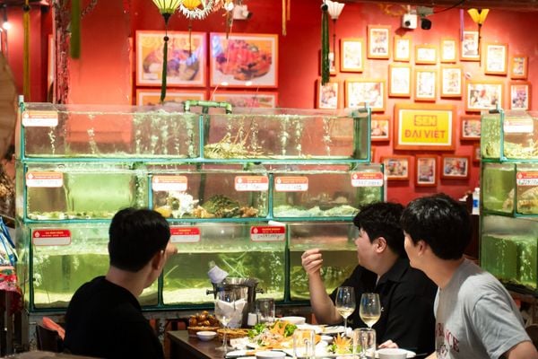 Seafood tank at Dai Viet restaurant